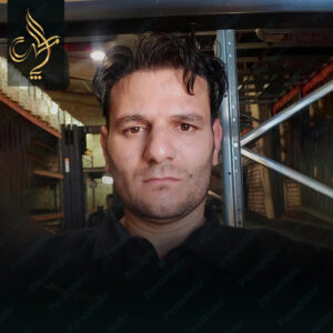 نمونه کار کاشت مو شیراز کلینیک پارسامهر